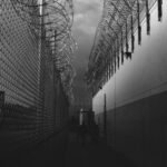 Trump's second term just crossed a horrifying milestone: 50 deaths in ICE custody