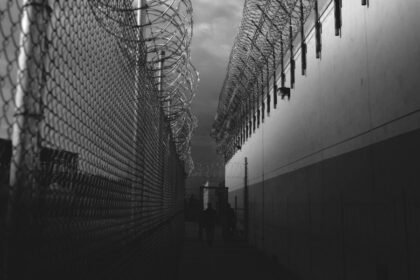 Trump's second term just crossed a horrifying milestone: 50 deaths in ICE custody