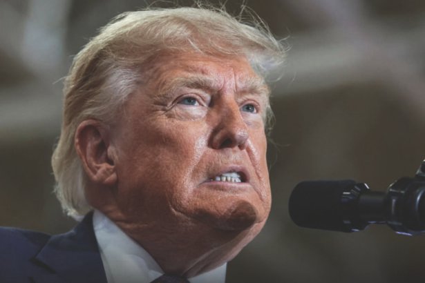 Judge shuts down Trump's election power grab in major ruling