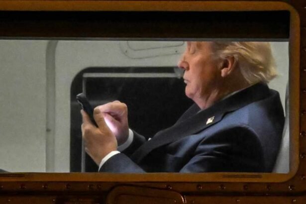 Sleepless Trump Spends Overnight Flight Rage-Posting About FISA, Mail Voting, and Himself