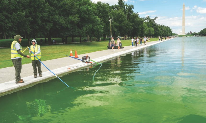 New scandal erupts after Trump-linked firm gets $1.7M no-bid deal to ‘clean’ reflecting pool before any algae appeared