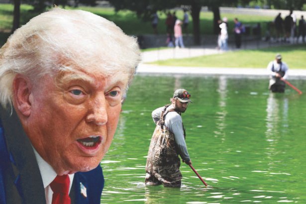 Trump blames unknown 'vandals’ for reflecting pool disaster amid growing backlash
