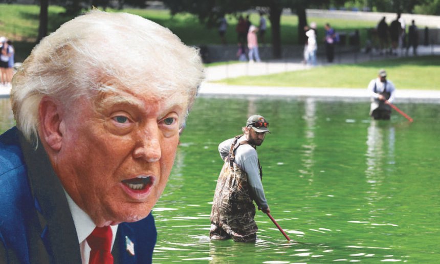 Trump blames unknown 'vandals’ for reflecting pool disaster amid growing backlash