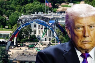 Poll Shock: Americans overwhelmingly disapprove of Trump’s UFC birthday fight at the White House