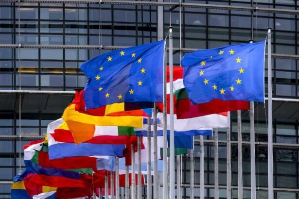 30 European leaders held a secret emergency meeting to discuss potential break-up with the U.S. after Trump returned: Report