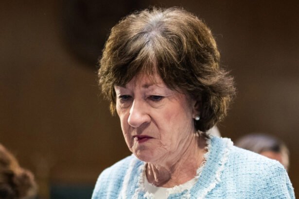 Progressive Democrat pulls ahead of Susan Collins in Maine Senate race