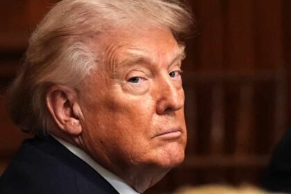 Trump removes all members of the Independent Election Commission ahead of midterms