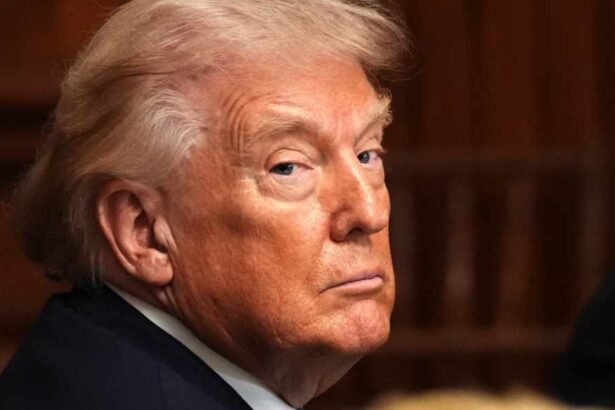 Trump removes all members of the Independent Election Commission ahead of midterms