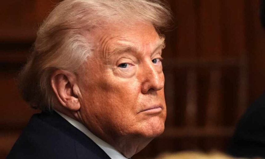 Trump removes all members of the Independent Election Commission ahead of midterms