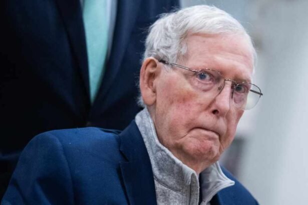 Every Republican suddenly claims they 'talked to Mitch McConnell for 20 minutes'—and the internet isn't buying it