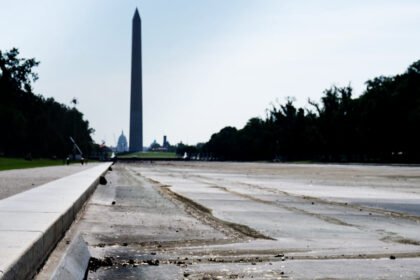 DOJ’s own witness blows up Trump’s reflecting pool ‘vandalism’ claim in case against former Olympian
