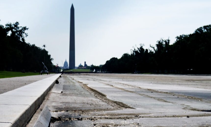 DOJ’s own witness blows up Trump’s reflecting pool ‘vandalism’ claim in case against former Olympian