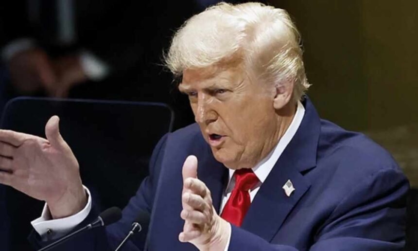 '25th Amendment moment': Trump’s bonkers election fraud speech sparks calls for removal