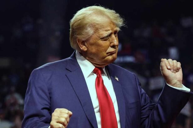 Trump made more than $1 billion from cryptocurrency last year, while his MAGA investors lost nearly the same amount