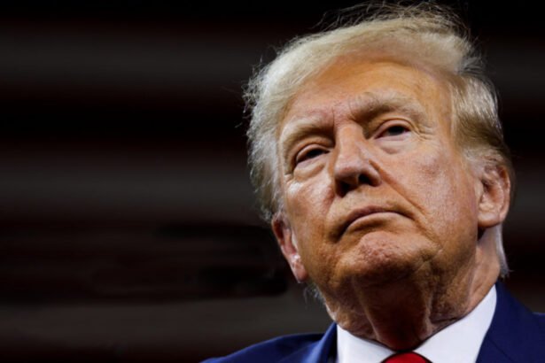 Senator sounds alarm over Trump's 'authoritarian' plot to interfere in midterms