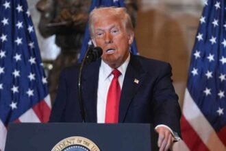 'They're animals': Panicked Trump issues frantic doomsday warning as his poll numbers sink and Democrats surge ahead of midterms