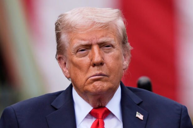 Judge blocks Trump’s order to use USPS to restrict mail-in voting in blue states