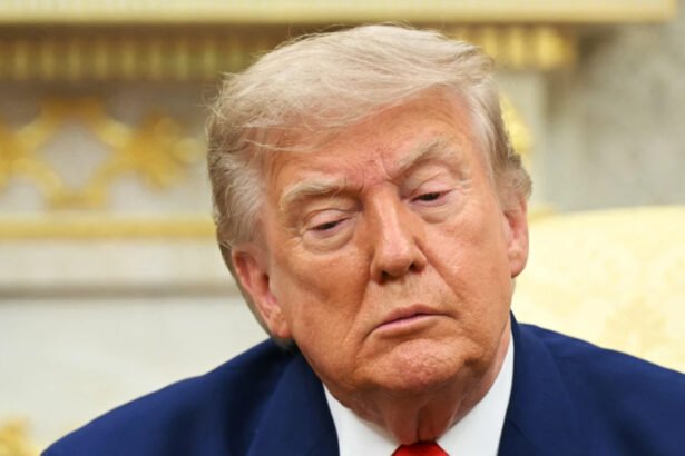 Trump humiliated as his endorsed candidates lose GOP primaries in Florida and Wyoming