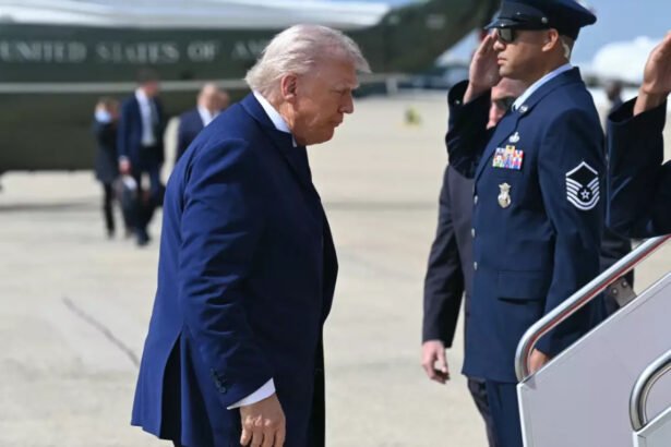 Air Force major who called for Trump’s impeachment is arrested again after blasting his 'rampant corruption'