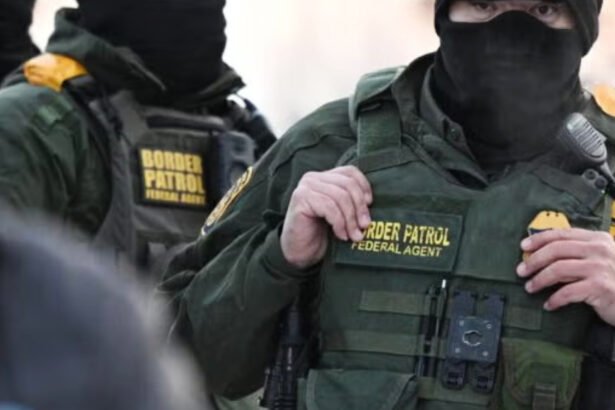 Whistleblower warns of ‘grave national security risks’ posed by ICE agents as allegations of sexual assault, bribery and drug smuggling pile up