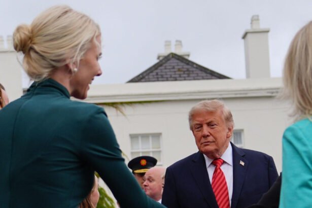 Trump White House calls reporter a ‘sick, deluded freak’ for pointing out Natalie Harp is with the president in Ireland
