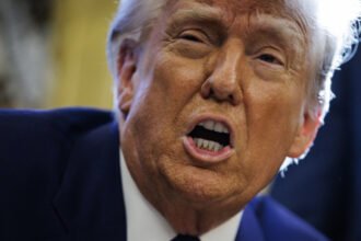 'Very dumb and unhappy': Trump flips out at CNN’s Kaitlan Collins in latest Truth Social meltdown