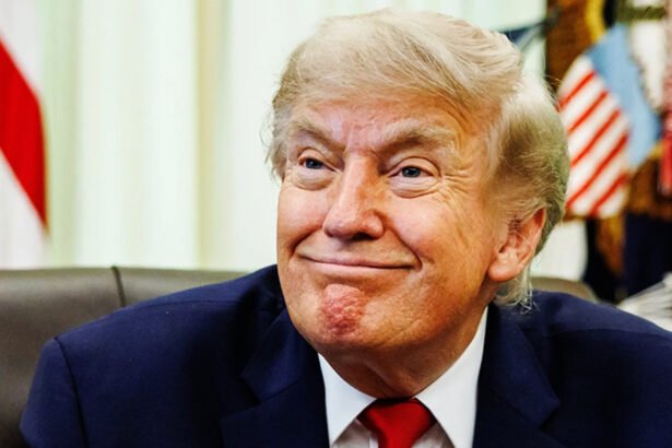 'Not a big thing': Trump calls U.S. servicemen killed in Iran war 'small potatoes' in latest insult to troops