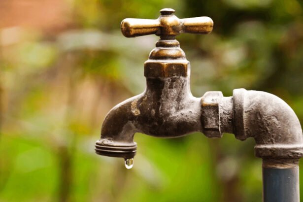 You don’t have a right to safe drinking water, Trump-appointed judge rules