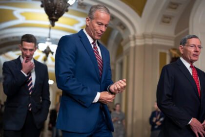 Republicans’ last-ditch effort to save face on energy costs before midterms fails in key Senate vote