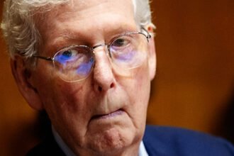 Mitch McConnell must return to work and ‘prove he can do this job, or quit,’ Fox News host says