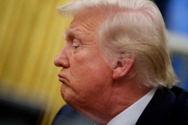 Trump reveals revenge plan if Republicans lose Congress — and it’s one of his pettiest yet