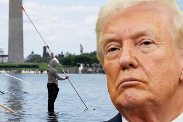 Trump humiliated as his own contractor drops Reflecting Pool bombshell