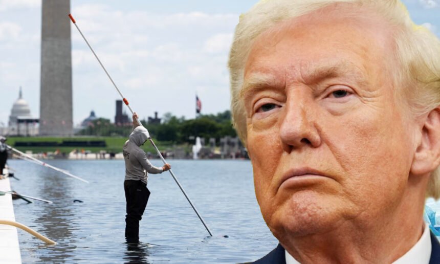 Trump humiliated as his own contractor drops Reflecting Pool bombshell