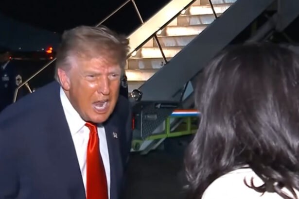 ‘You’re the worst!’: Trump absolutely loses it and lunges at female reporter after a very basic question