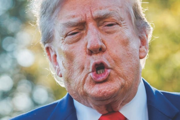 Desperate Trump Dangles $1 Million Bounty for Voter Fraud Tips Just Days Before Midterms