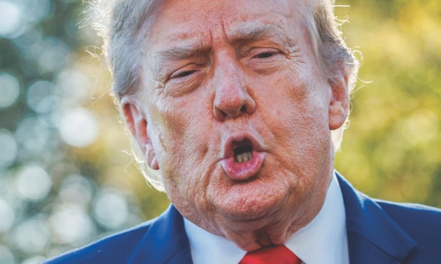 Desperate Trump Dangles $1 Million Bounty for Voter Fraud Tips Just Days Before Midterms
