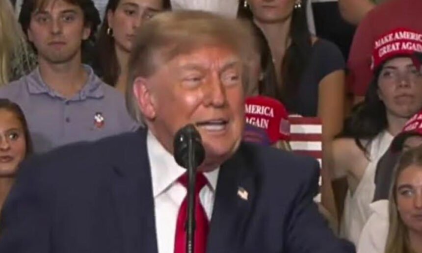 ‘That Was Unbelievable. He Got Whacked!’: Trump Cheers Supporter Who Punched Protester, Brags It’s ‘Dangerous’ to Heckle at His Rallies