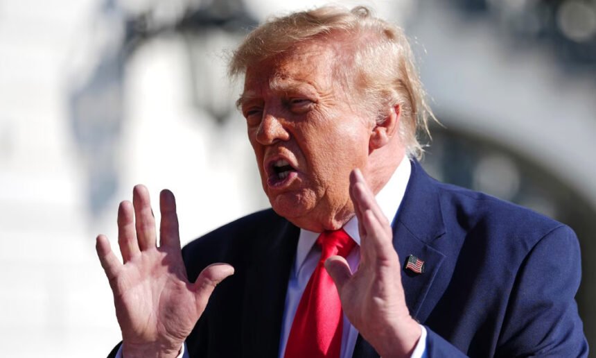 Trump Cries 'Rigged Election' After His Right-Wing Ally Loses in Brazil