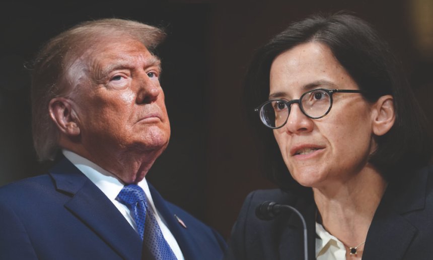 Furious Judge Launches Investigation Into Trump's Park Renovation Plot After Suspecting Officials Lied to the Court