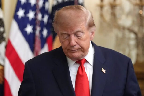 Trump’s taxpayer-funded propaganda ads yanked after judge’s order