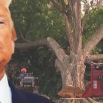 Trump Defies Federal Judge, Vows to Push Ahead With East Potomac 'Renovation' Despite Court Order