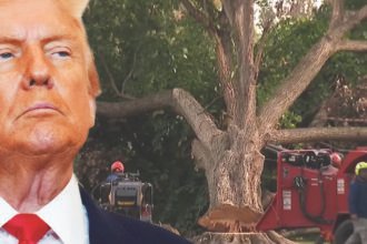 Trump Defies Federal Judge, Vows to Push Ahead With East Potomac 'Renovation' Despite Court Order
