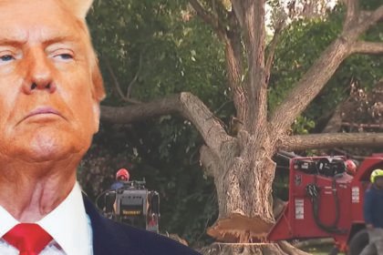 Trump Defies Federal Judge, Vows to Push Ahead With East Potomac 'Renovation' Despite Court Order