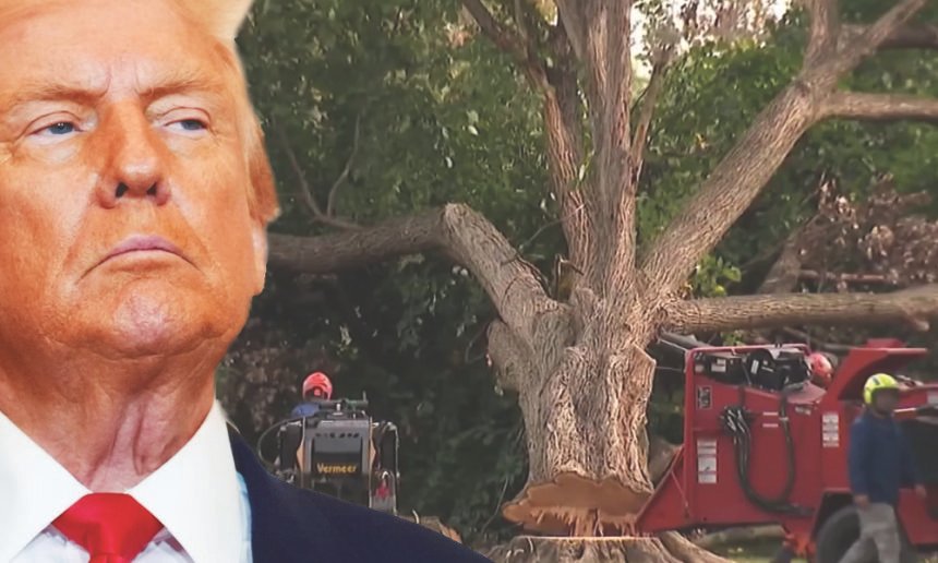 Trump Defies Federal Judge, Vows to Push Ahead With East Potomac 'Renovation' Despite Court Order